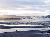 Rotorua - Nouvelle-Zélande - études NZ